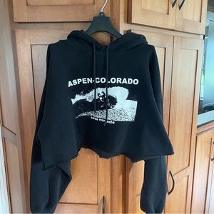 Brandy Melville Cropped Aspen Hoodie